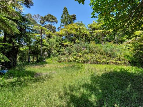 42 Kopiko Road, Titirangi