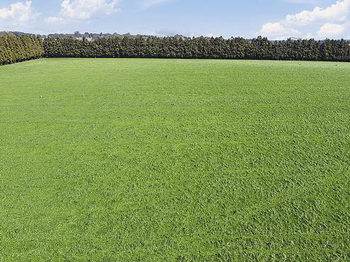 766 Te Ahu Ahu Road, Waimate North