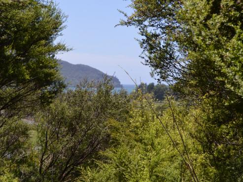 1128 Kennedy Bay Road, Tuateawa