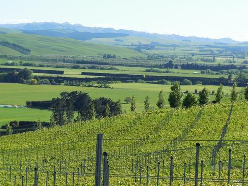 698 Omihi Road, Waipara