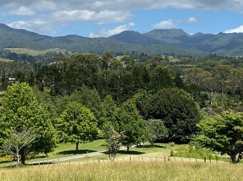 226 Wright Road, Aongatete