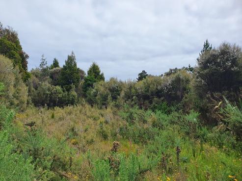 18 Sanctuary Place, Kumara