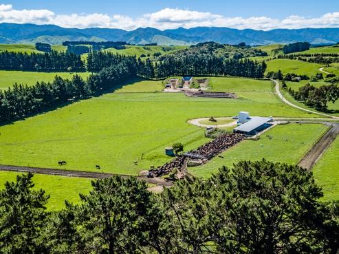 16 Corby Road, Dannevirke