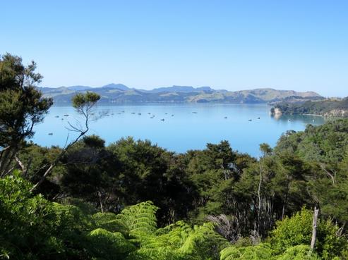 614 Wyuna Bay Road, Coromandel