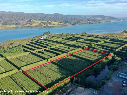 15 Tangiteroria Lane, Pauanui