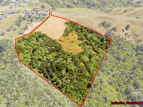 15 Umbria Lane, Flat Bush