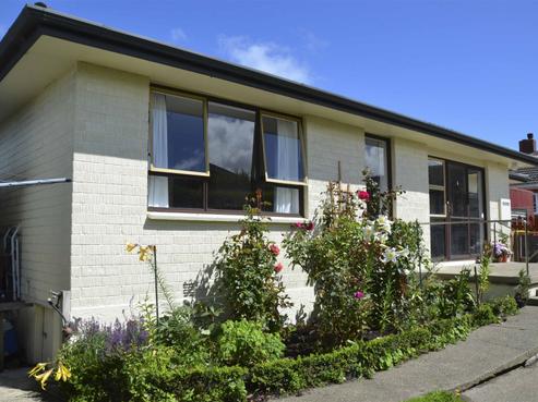 425A Tay Street, Turnbull Thomson Park