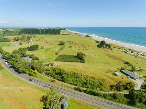 1352 State Highway 2 West, Pikowai