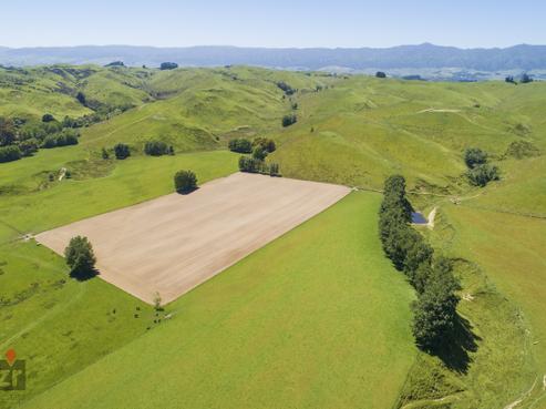 262 Te Awa Road, Pohangina