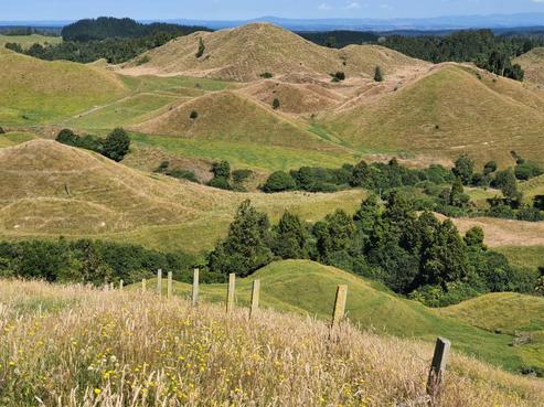 2060C Manawahe Road, Pikowai