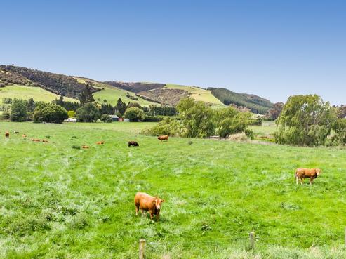 677 Outram-mosgiel Road, Outram