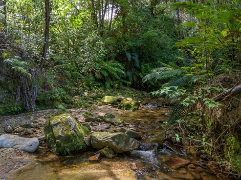 128 Graham Valley Road, Ngatimoti