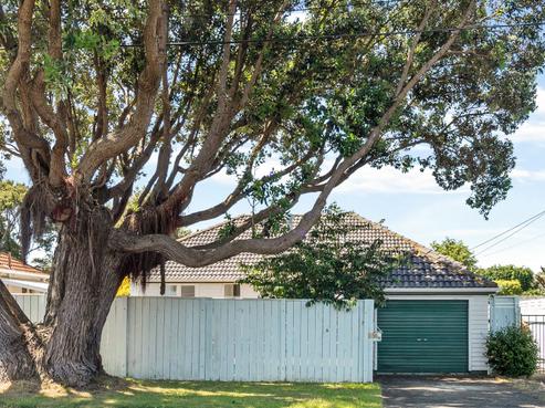 41 Thornycroft Avenue, Epuni
