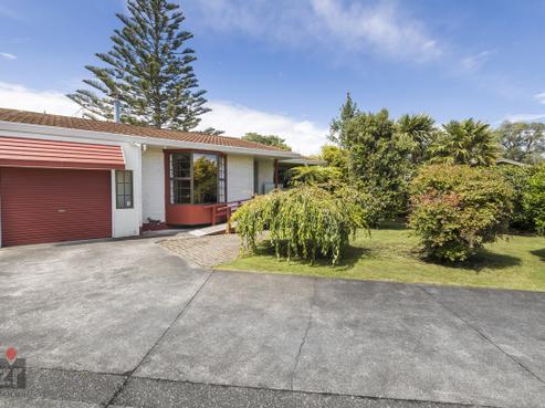 9 Dalzien Place, Feilding