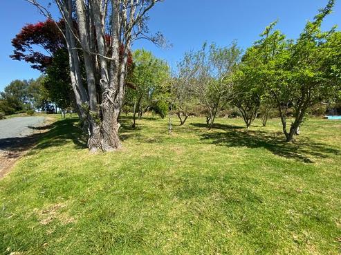 1 Mangakino Lane, Kauri