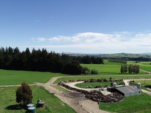 732 Tapanui Raes Junction Highway, West Otago Surrounds