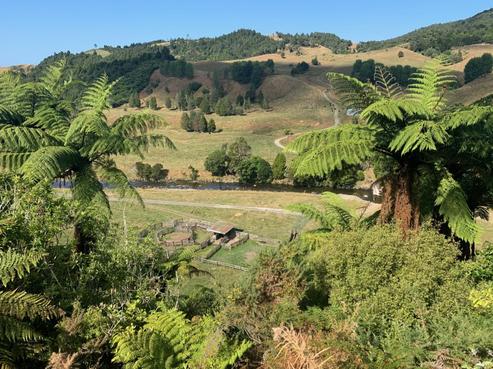 249 Franklin Road, Waihi