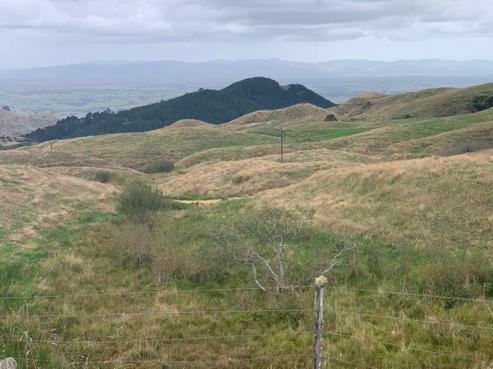 233 Goble Road, Paeroa