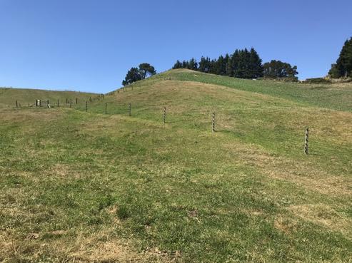 343 Oruanui Road, Wairakei and Surrounds