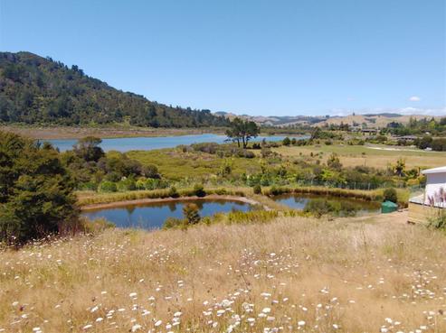 139 Rangituia Street, Whangamata