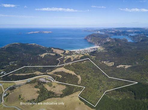 822 Taupo Bay Road, Taupo Bay/Totara North