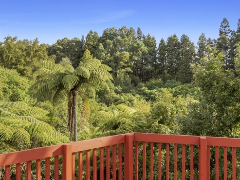 45 Winstone Avenue, Chartwell