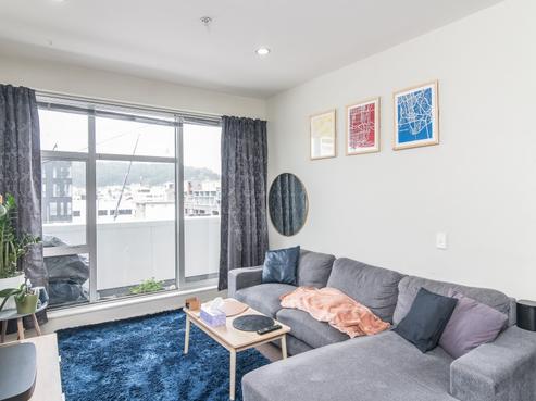 501/115 Vivian Street, Te Aro