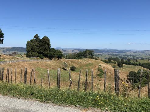 307 Mairoa Road, Piopio