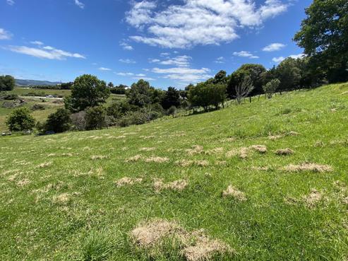 41 Wilson Road, Warkworth