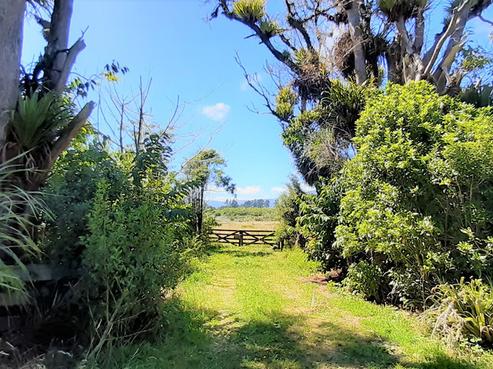 111 Snodgrass Road, Westport