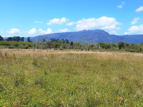 109 Snodgrass Road, Westport
