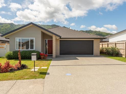 15 Tapuhikura Street, Waikanae