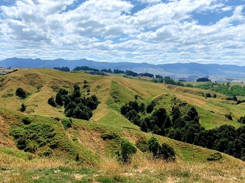 734 Ohuka Road, Wairoa Country