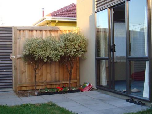 26 King Street, Sydenham