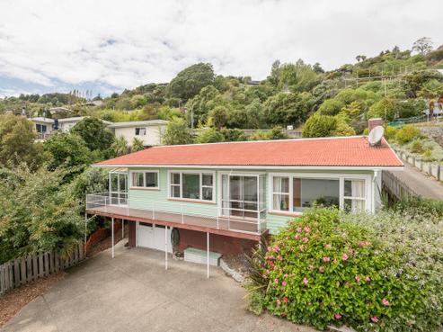 19 Rangiora Terrace, Tahunanui