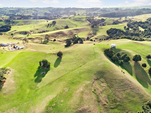 87A Ruebe Road, Buckland
