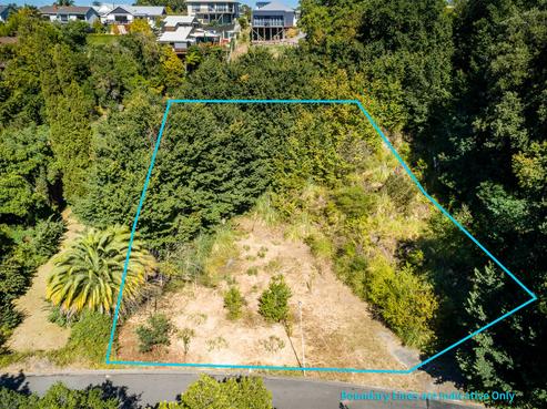 9 Burlington Road, Napier Hill