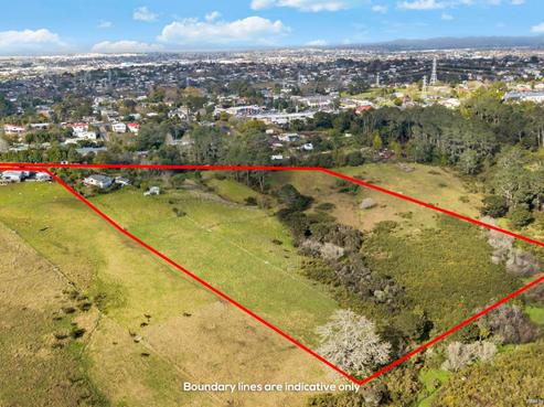 456A Don Buck Road, Massey