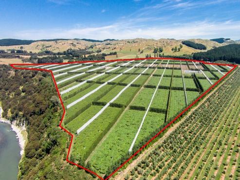 3962 State Highway 2, Raupunga
