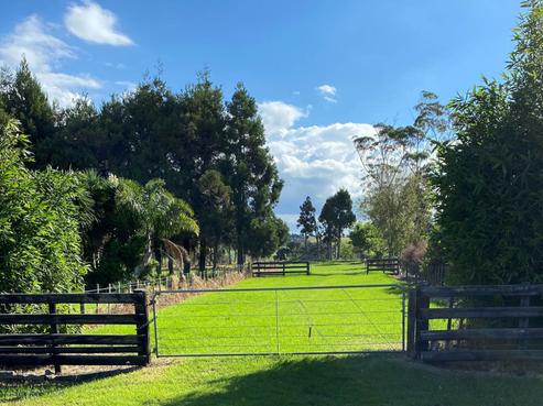 25 Rosythe Road, Waipu