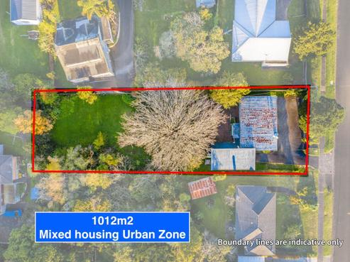 1 Savoy Road, Glen Eden