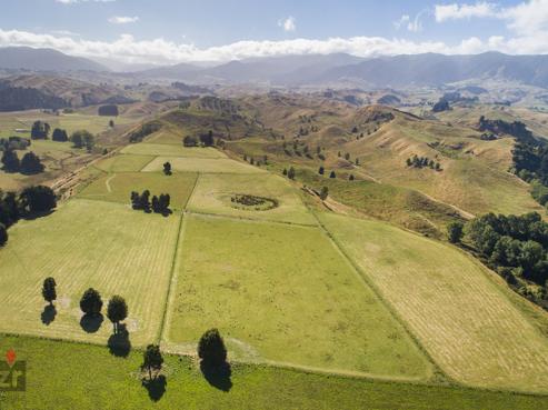 3769 Pohangina Valley East Road, Apiti