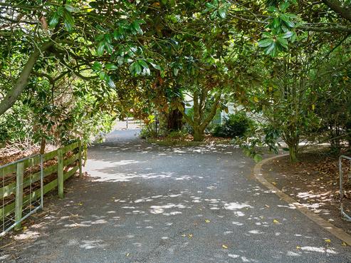 1447 Piakonui Road, Richmond Downs
