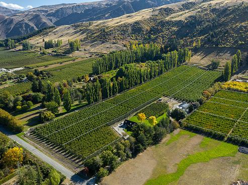 284 Ripponvale Road, Cromwell