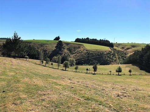 126 Johnston Road, Balclutha