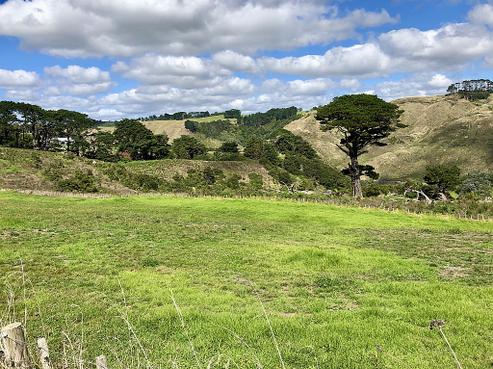 109 Dill Road, Kaipara Flats