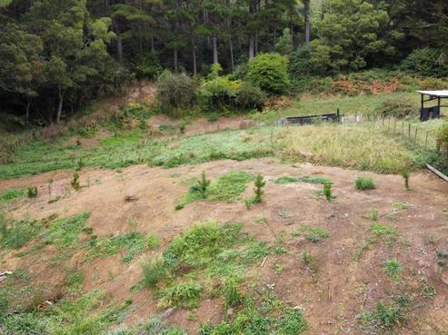 3679 Ohura Road, Ohura