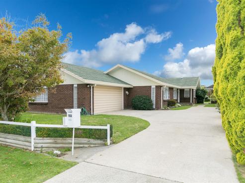 153 Mandeno Street, Te Awamutu