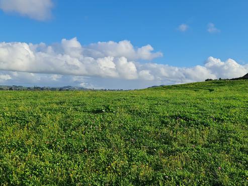 12 Headlands Drive, Te Awamutu