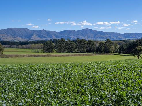 875 Esk Valley Road, Otaio